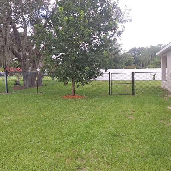 Chain Lin k Fence installation in Crystal River, Fl