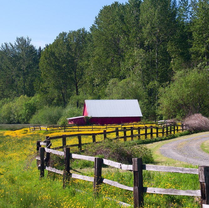 split rail fence, sugarmill fl