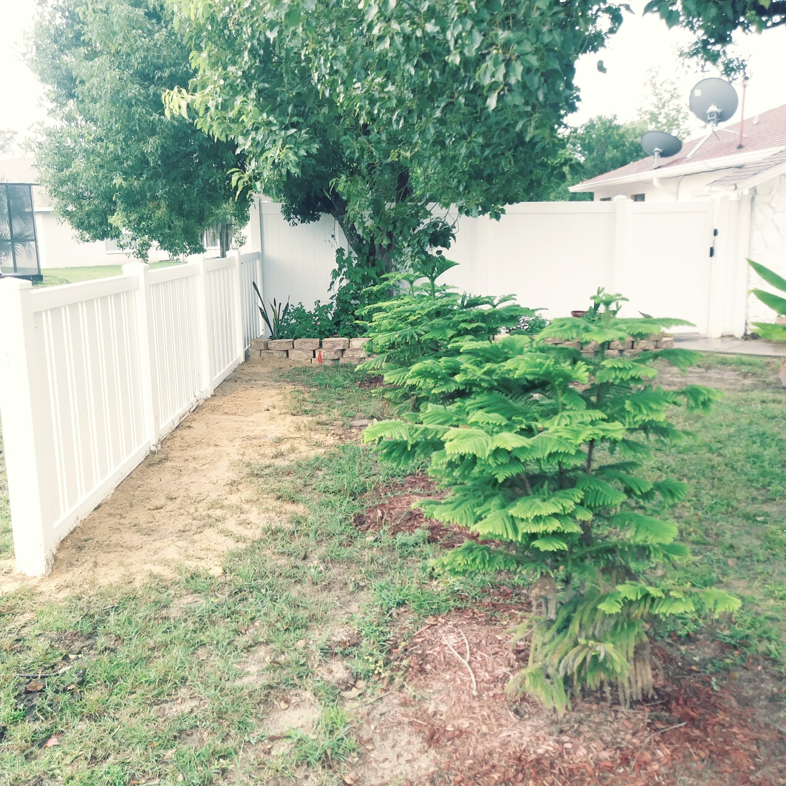fence cleaning and maintenance, crystal river fl